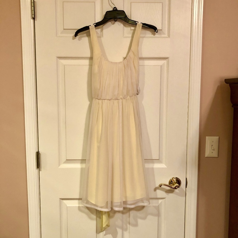 Calvin Klein Spring/Summer Dress (petite)